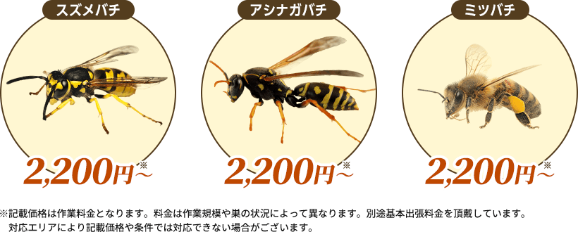 スズメバチの退治費用2,200円から。アシナガバチの退治費用2,200円から。ミツバチの退治費用2,200円から。