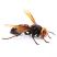 刺されると怖いスズメバチを安全に駆除する方法【よくある質問】